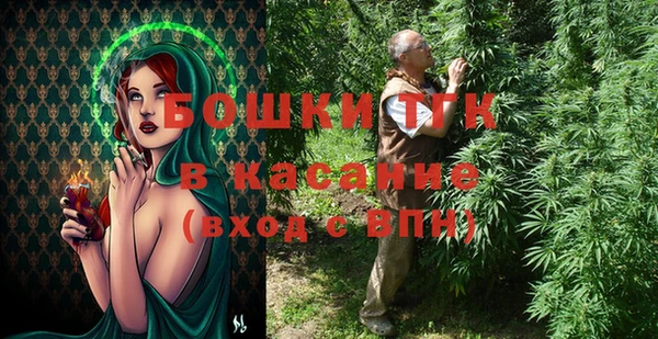 амф Богданович