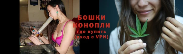 амф Богданович
