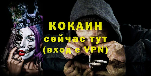 дмт Протвино