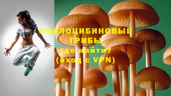 мдма Богородск